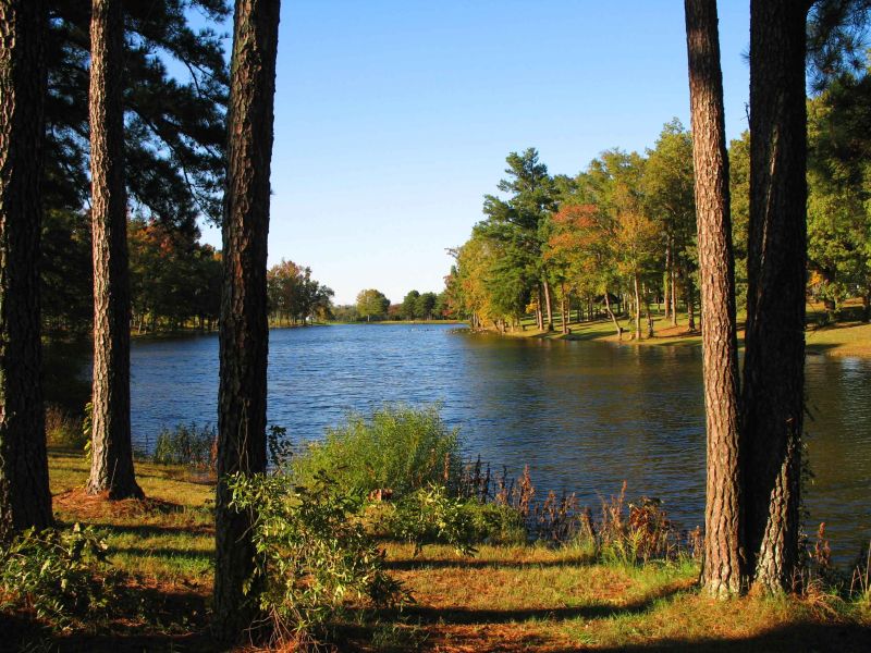 lake view.jpg